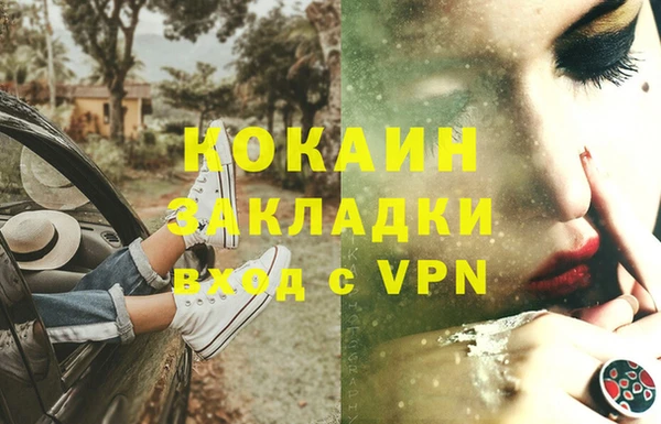ГАЛЛЮЦИНОГЕННЫЕ ГРИБЫ Аркадак